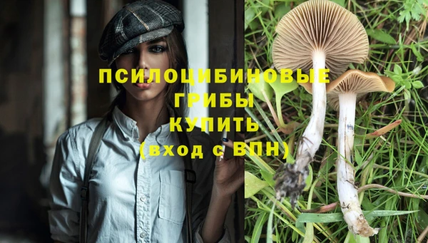 марки lsd Арсеньев