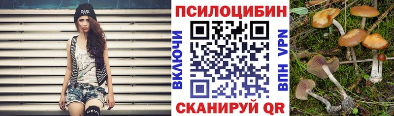 Купить где  Сясьстрой  Псилоцибиновые грибы Psilocybine cubensis 