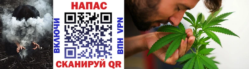 Бошки Шишки семена  Купить  Сясьстрой 